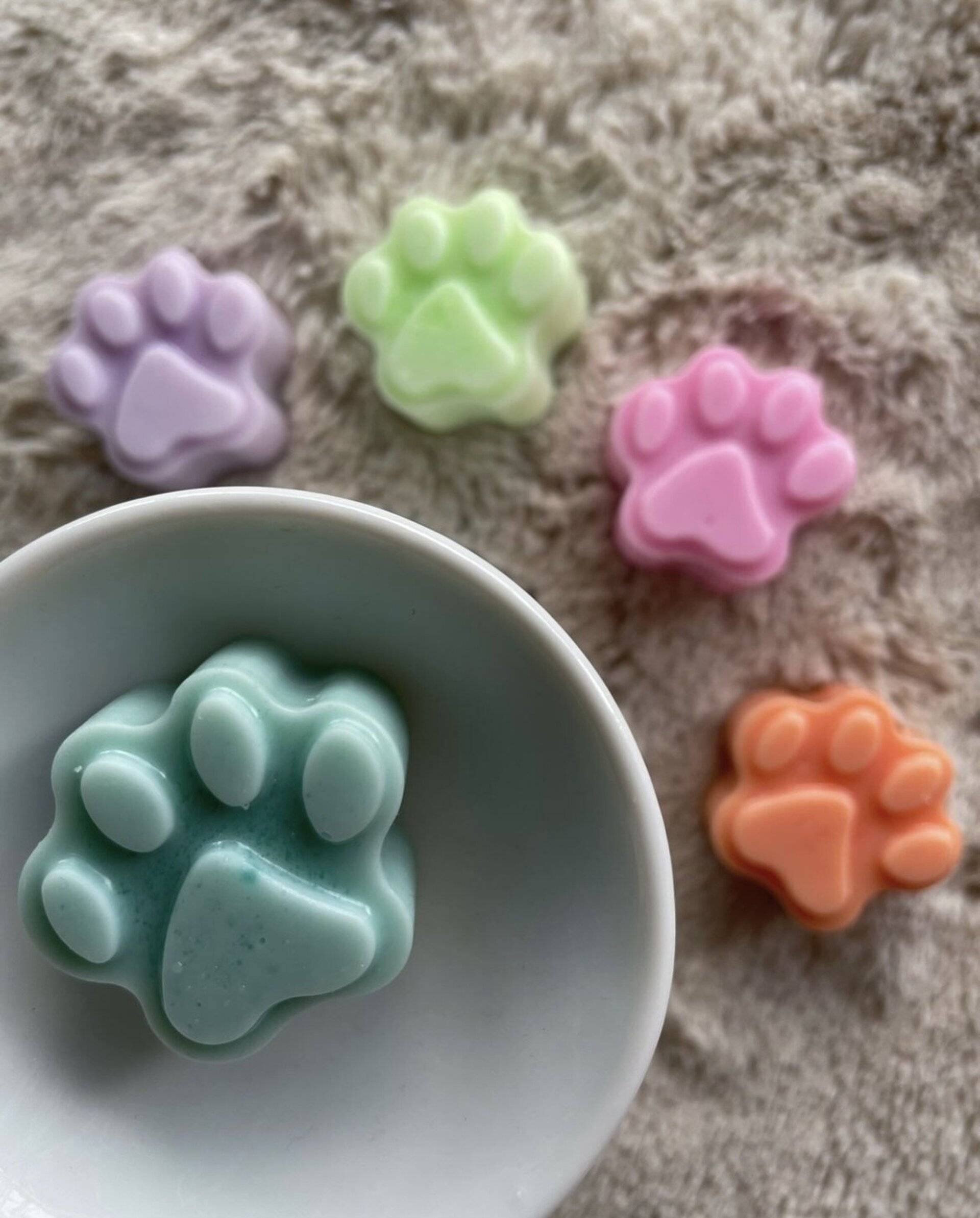 Wax Melts Solidarios “Huellita” - 2
