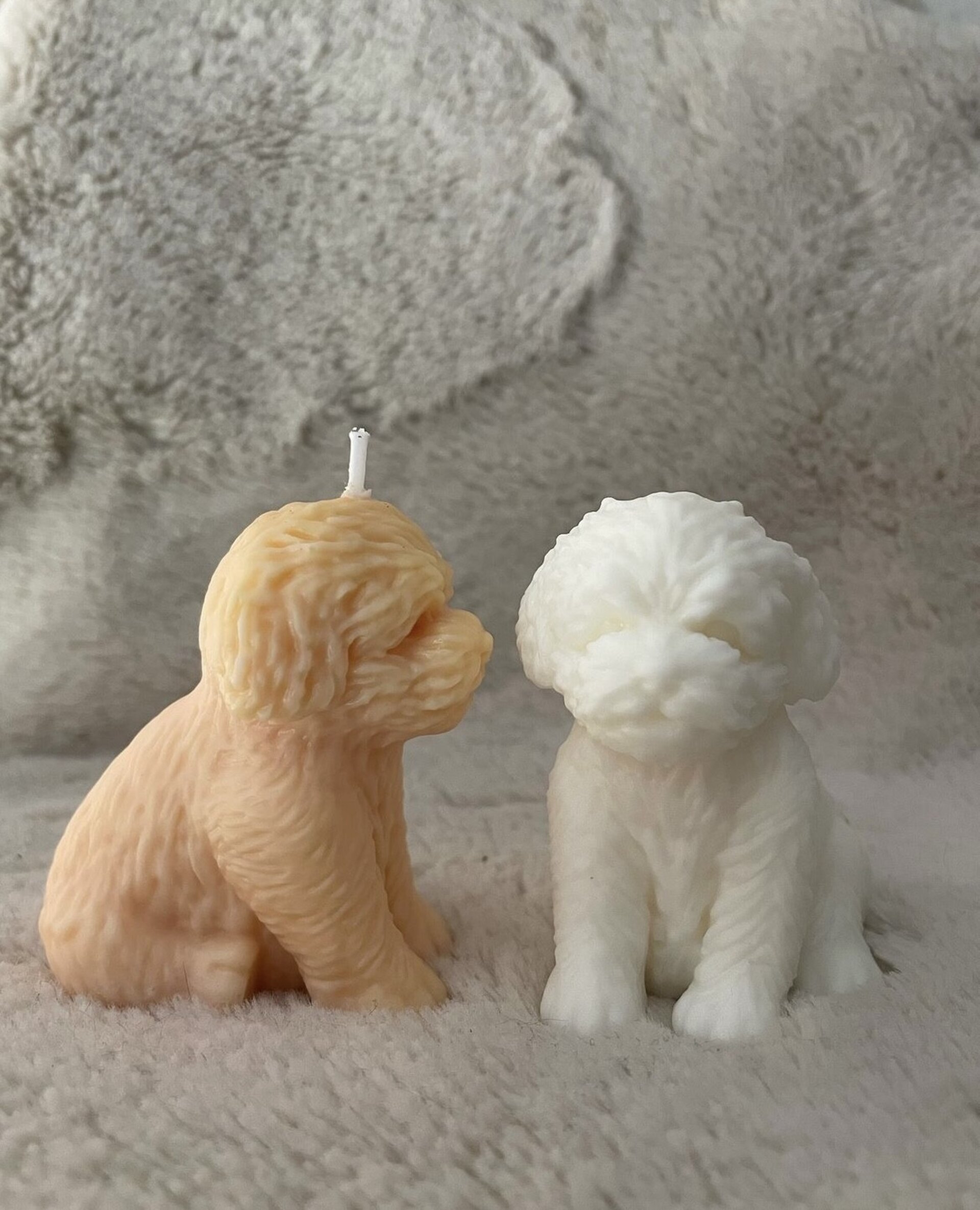 Vela Perrito - 2